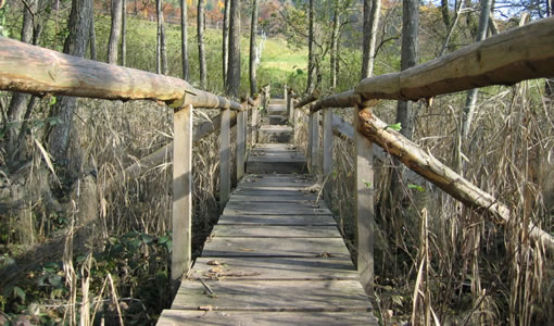 Die Brücke