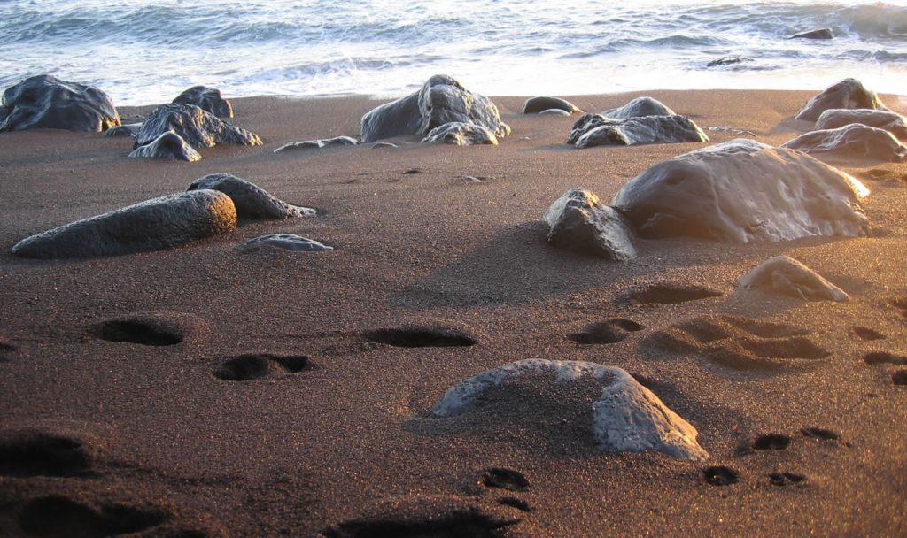Verodal El-Hierro -Cybermondo.net